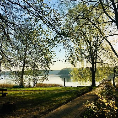 Waldschenke Stendenitz Uebernachten Im Wald Am See Neuruppin Dış mekan fotoğraf